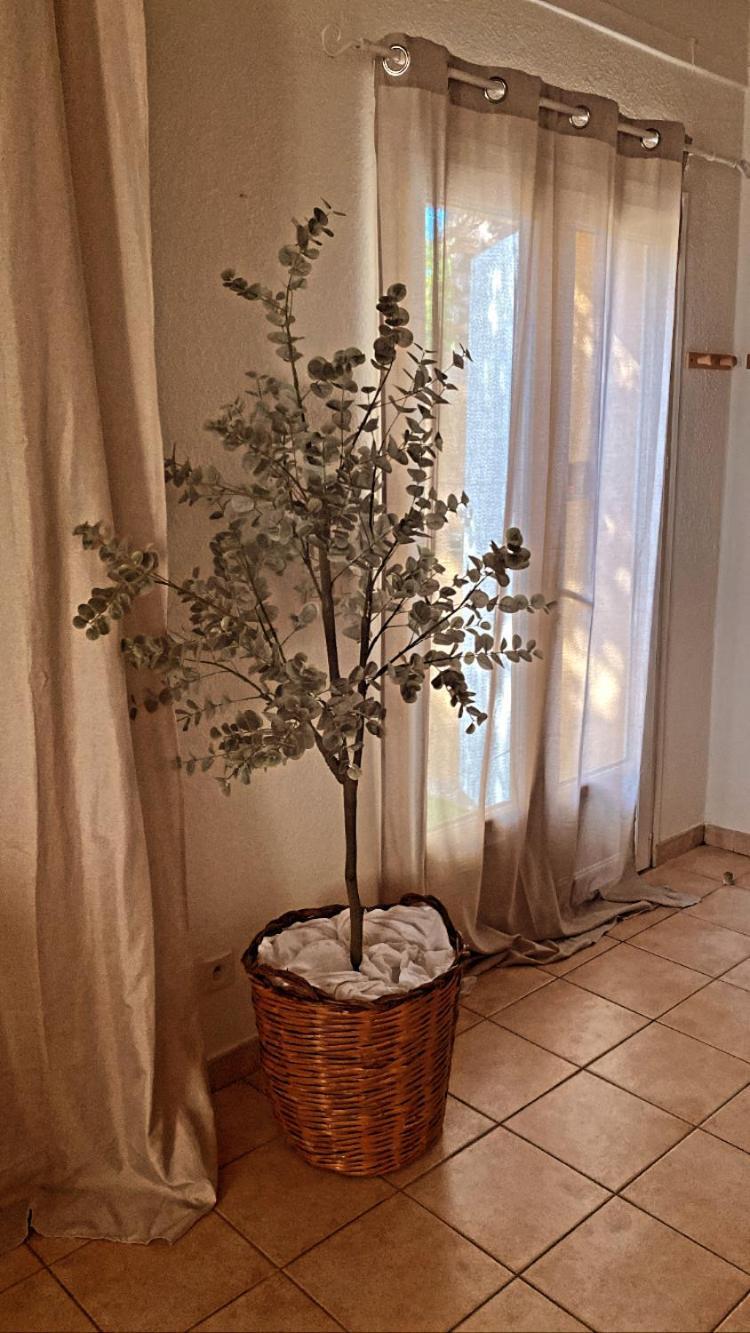 莫吉奥Le Mas Du Bosc公寓 外观 照片